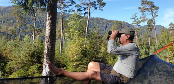 Mann auf einem Tentsile Trillium hoch zwischen den Bäumen blickt mit einem Fernglas in die Natur