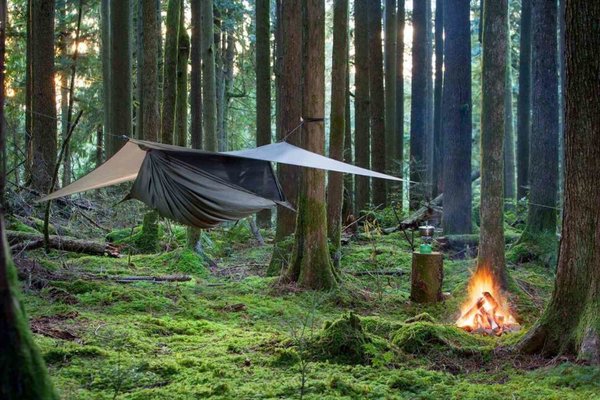 Hängematte aufgebaut tief im Wald mit brennendem Lagerfeuer und Kochstelle